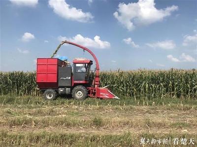 智能农机装备 扛稳粮食安全重任的湖北实践